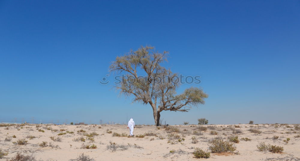 Similar – Image, Stock Photo Meeting point. Environment