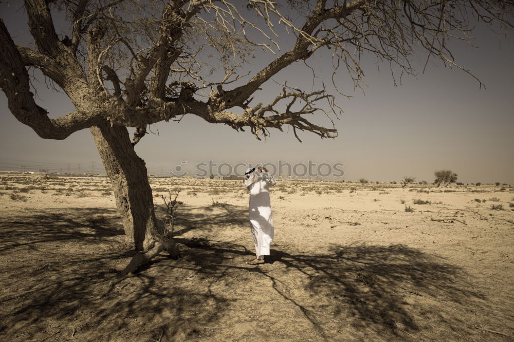 Similar – Woman posing on ground near dry trees