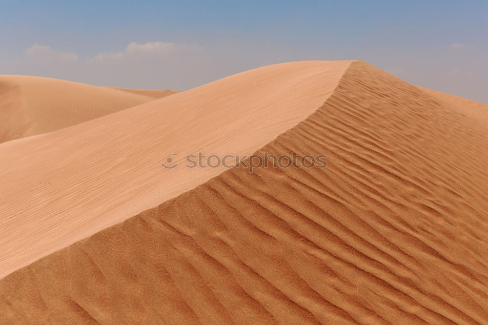 Similar – Image, Stock Photo Sahara in Morocco