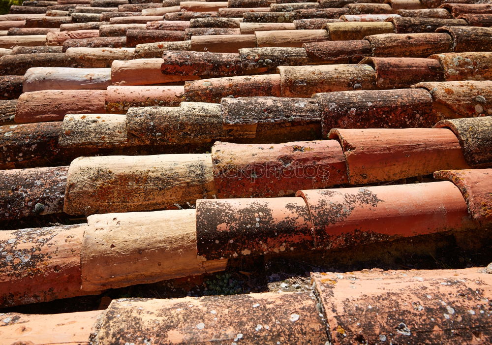 Similar – Close-up roof tile texture