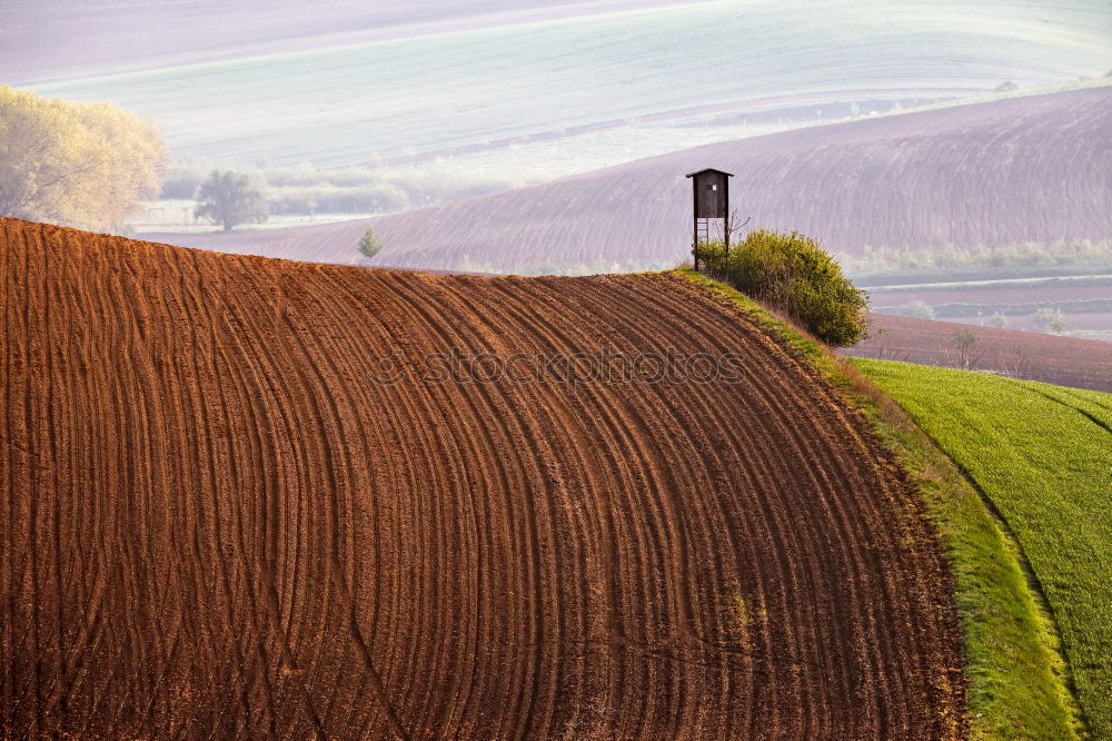 Similar – mini farm Tilt-Shift Small