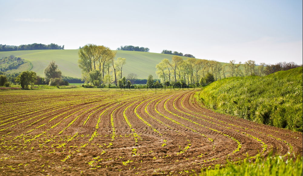 Similar – Image, Stock Photo harvest time Harmonious