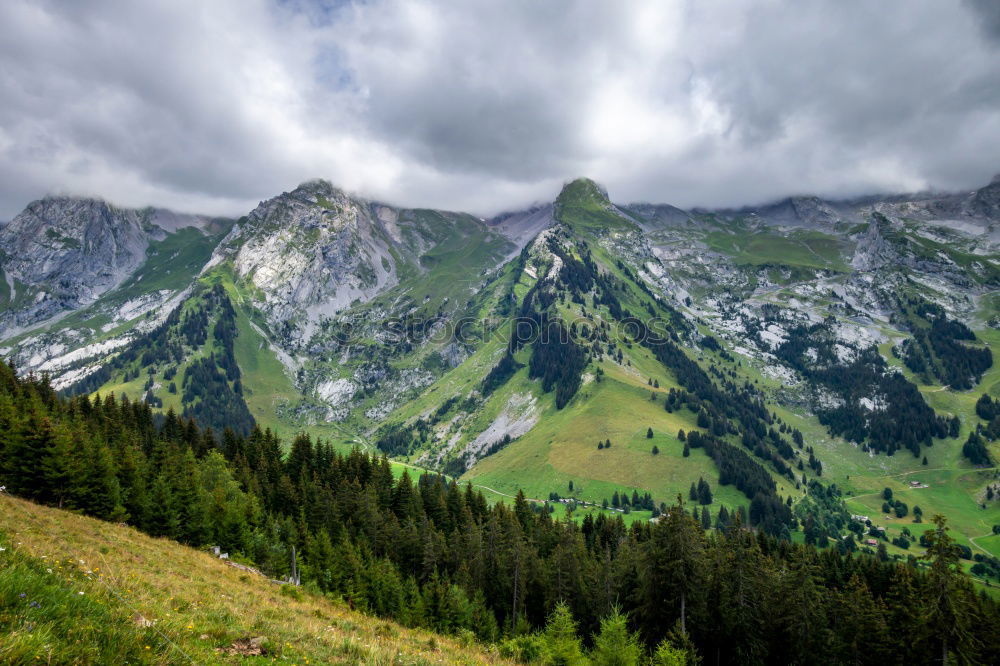 french alps