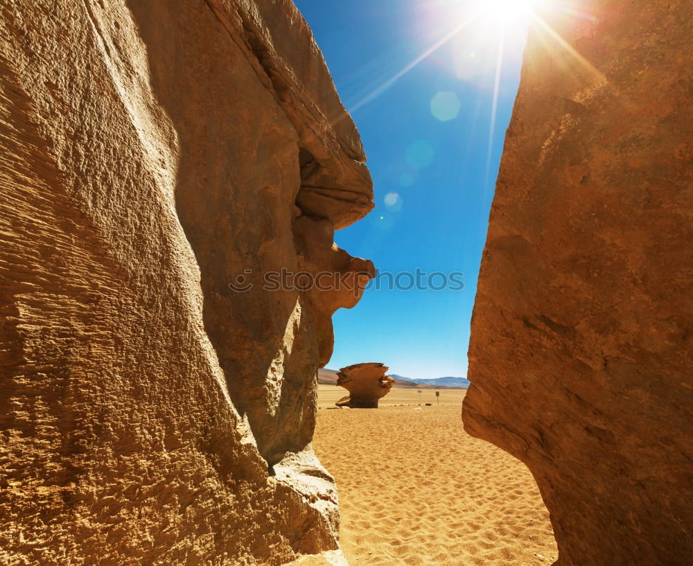 Similar – Image, Stock Photo Elephant Arch Beautiful