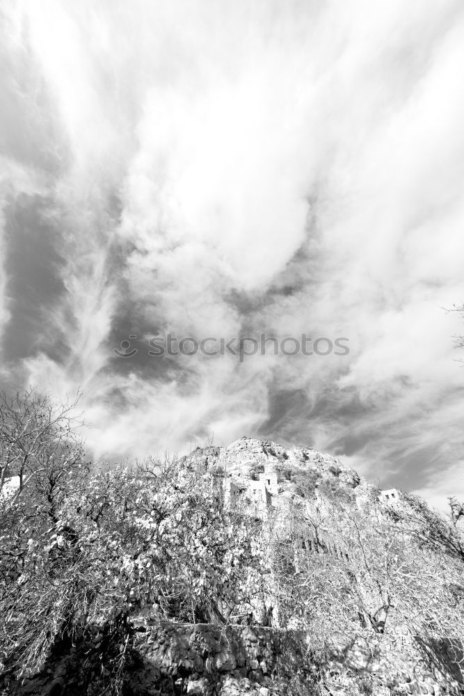 Similar – Image, Stock Photo alone Nature Landscape Sky