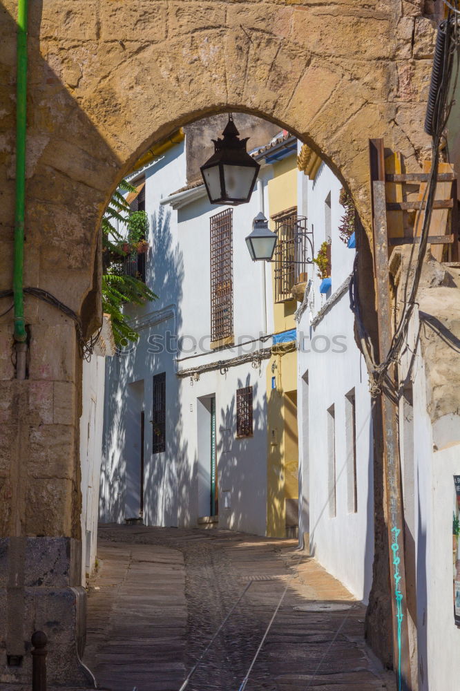 Similar – Image, Stock Photo ramatuelle Town