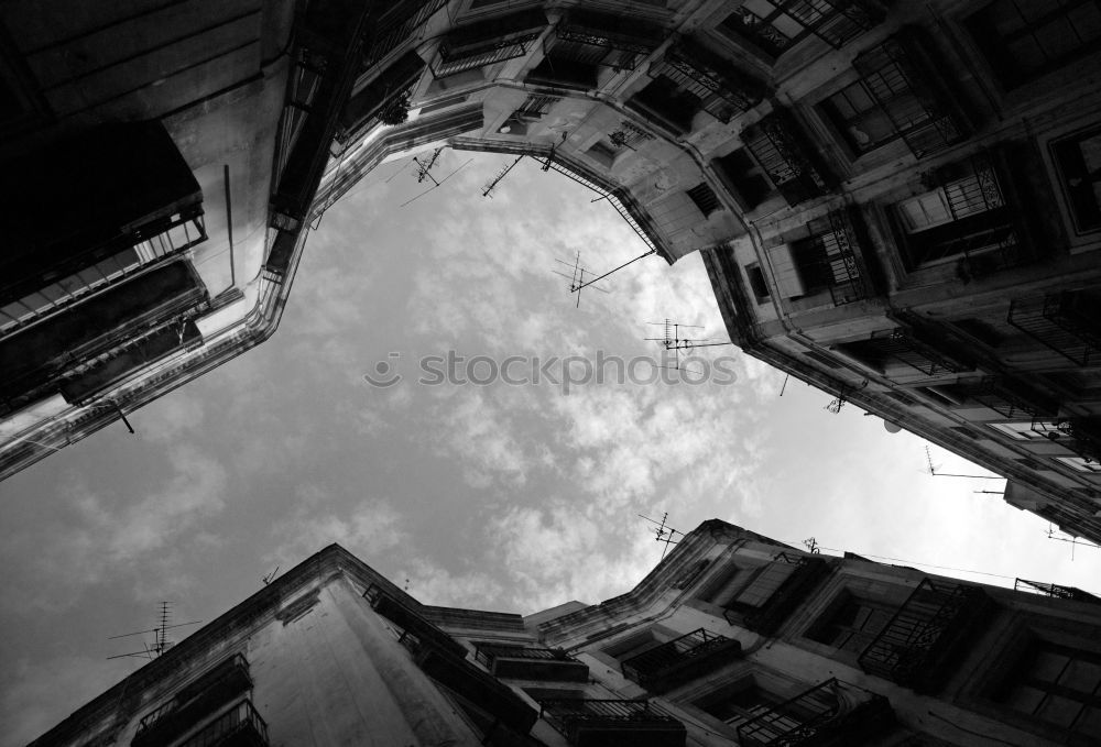 Similar – Image, Stock Photo Genoa_Streets Town