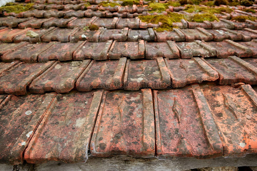 Similar – Image, Stock Photo over the roofs.