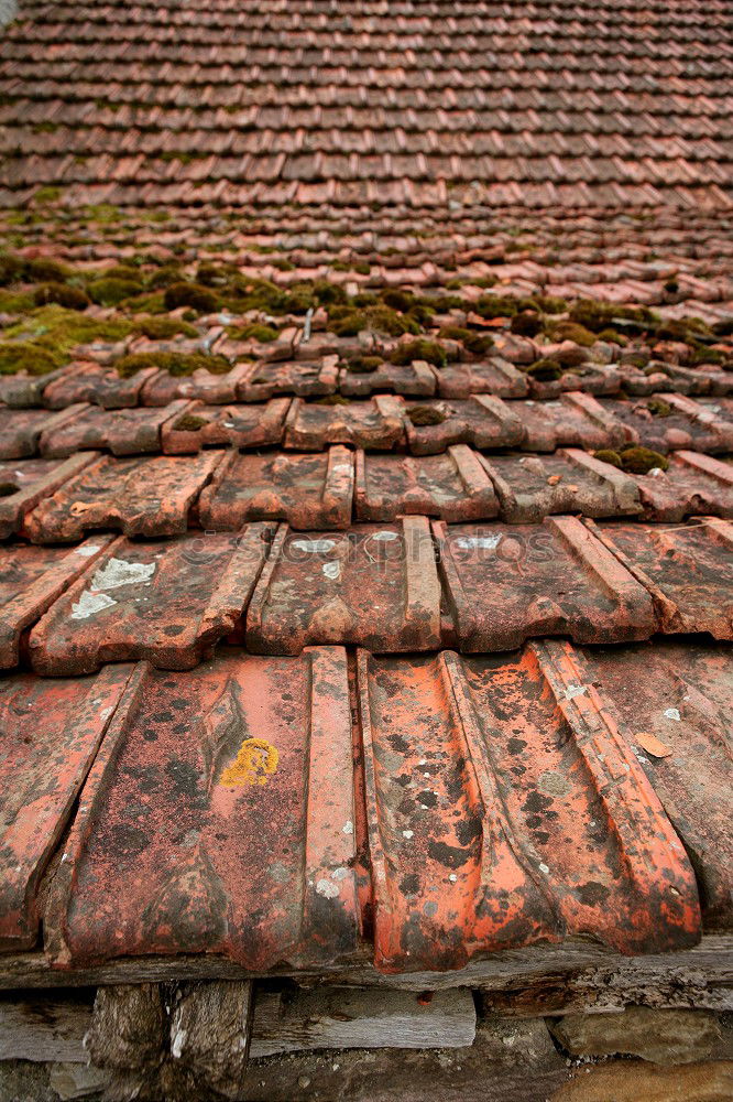 Similar – Roofs, roofs, gables, old town of Quedlinburg