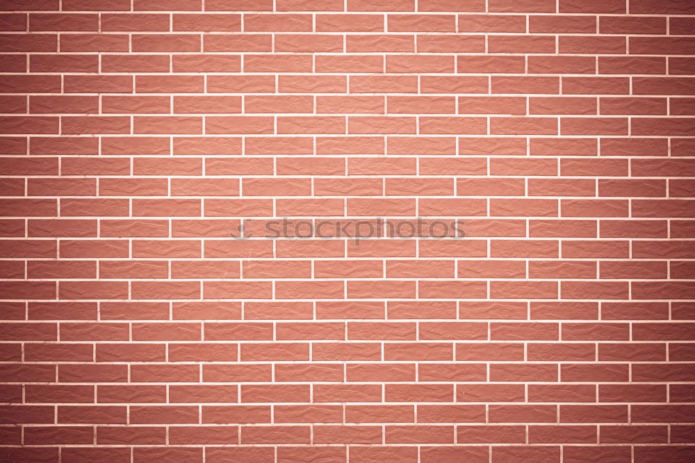 Similar – Bricks 1-4 Wall (barrier)