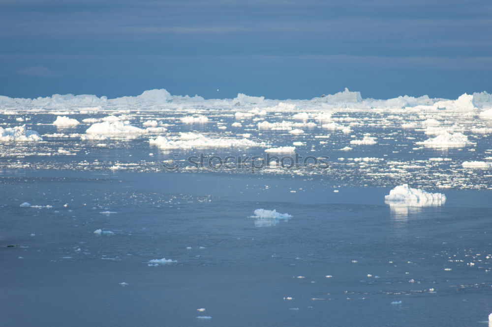 Similar – Ice floating in blue water