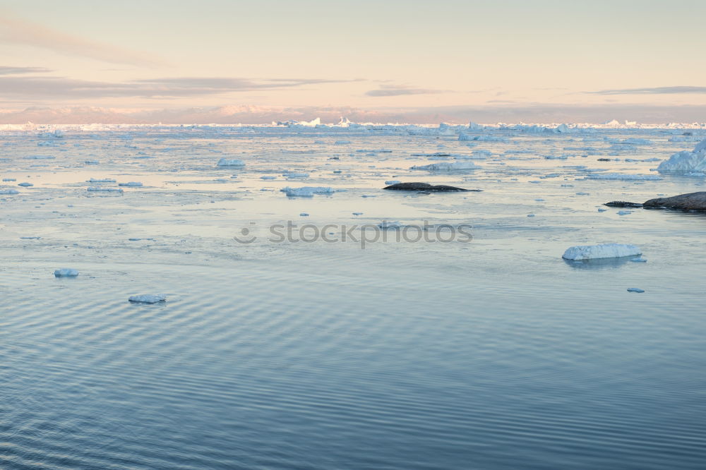 Similar – Antarctica Wild Nature Landscape