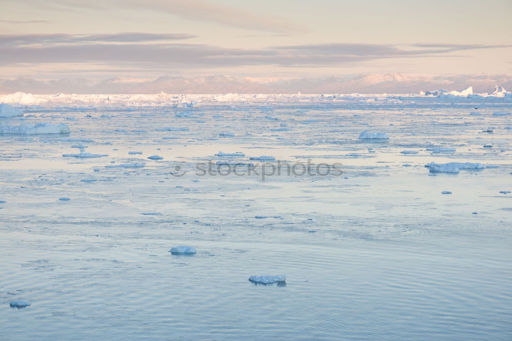 Similar – Antarctica Wild Nature Landscape