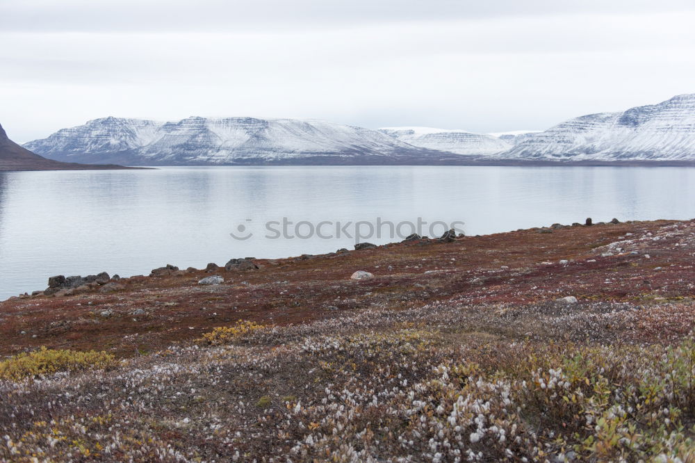 Similar – Image, Stock Photo Arctic tundra Beautiful