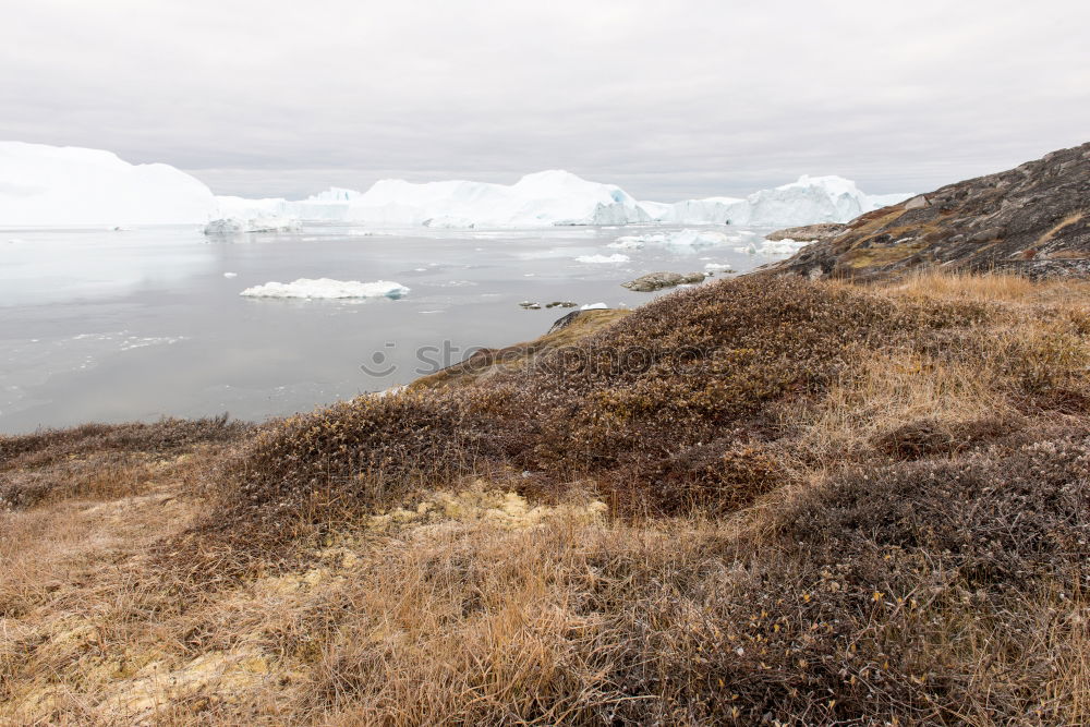 Similar – Image, Stock Photo Arctic tundra Beautiful