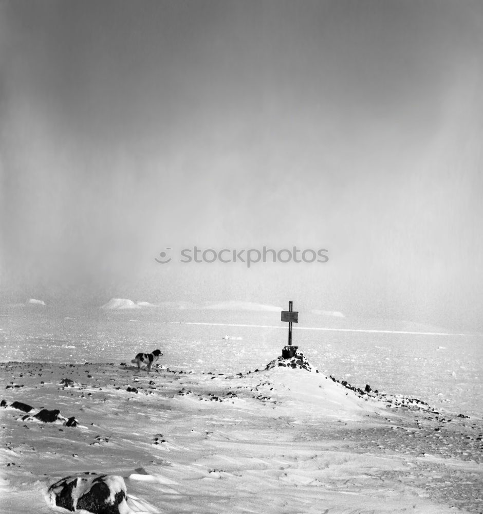 Similar – Image, Stock Photo Winter landscape | beginning and end.