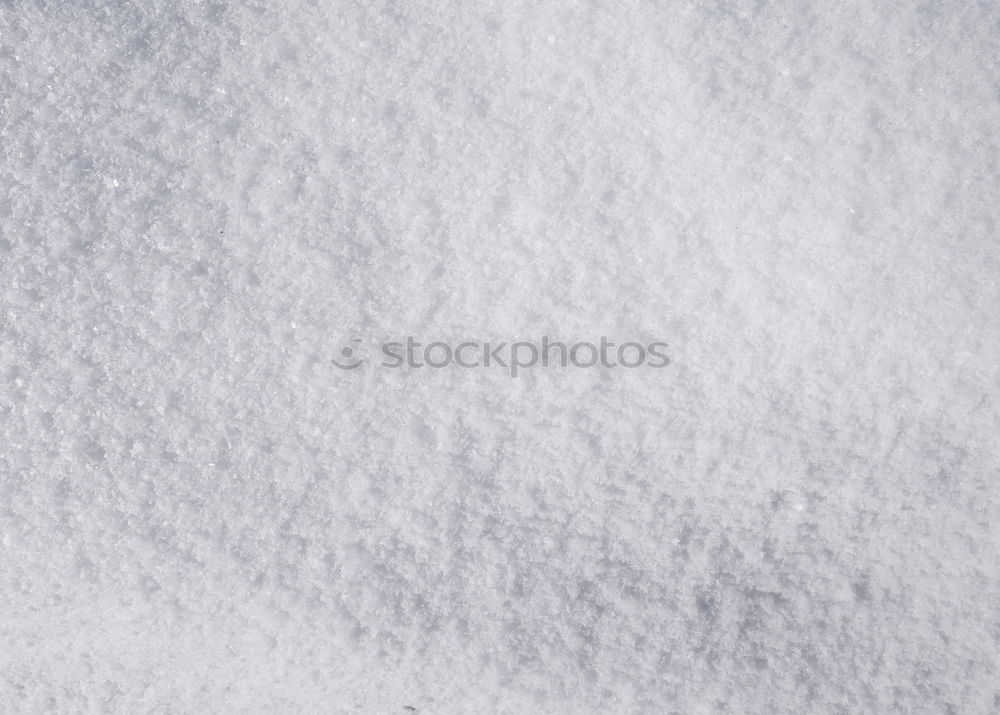 Similar – snow from yesterday Snow