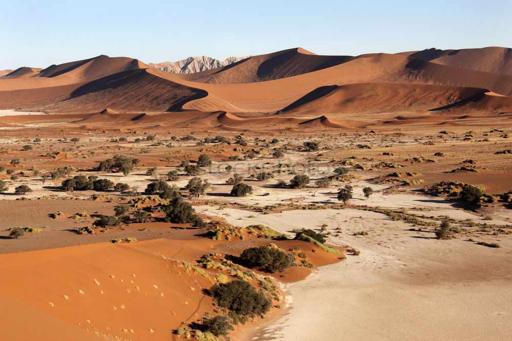 Similar – desert magic Namibia