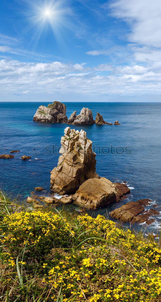 Similar – Green rocks with algae on the Atlantic beach with fishing village in the background