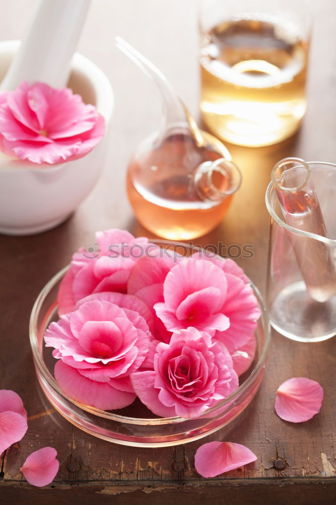 Similar – Image, Stock Photo Roses in grey bowl with water and cream