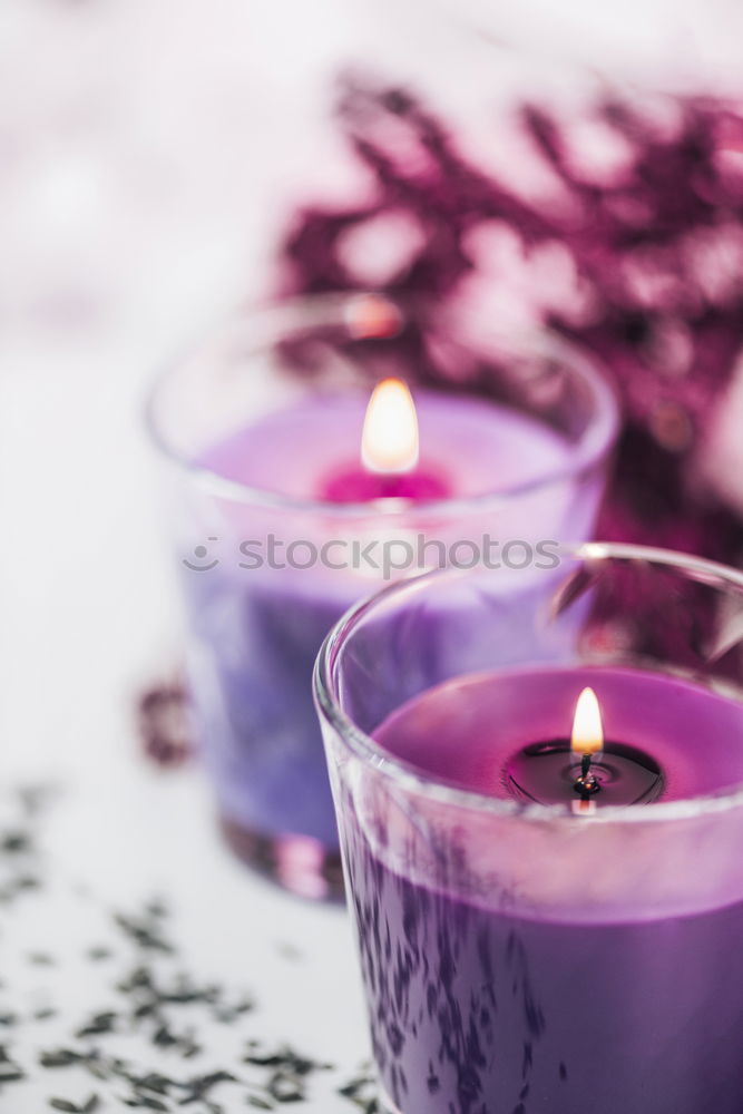 Similar – Image, Stock Photo Lavender Syrup Violet