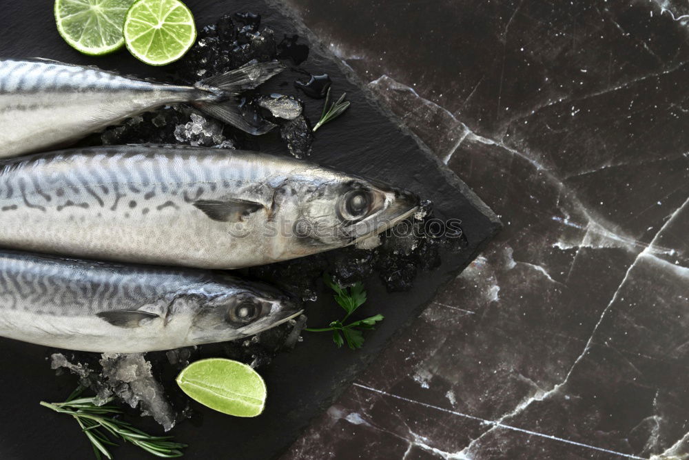 Similar – Raw fish. Sea bream, sea bass, mackerel and sardines