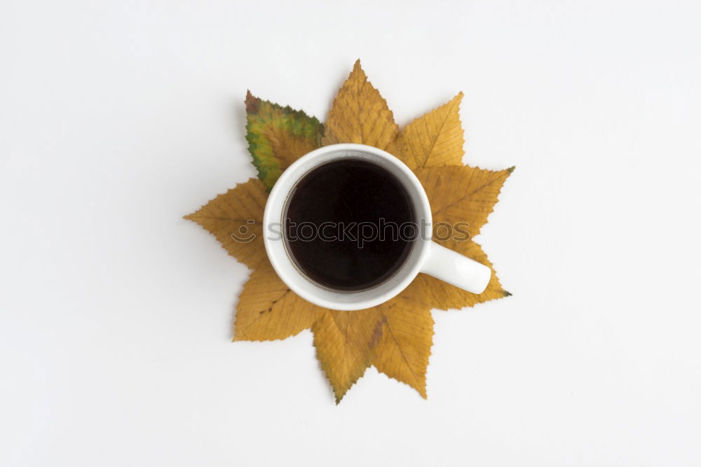 Similar – Image, Stock Photo french breakfast Food