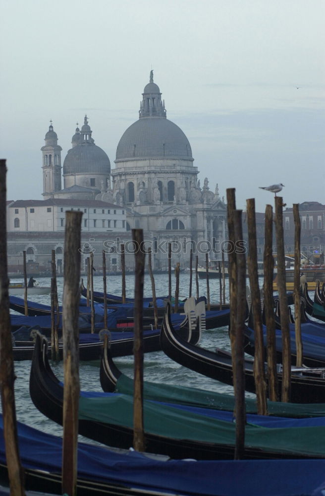 Similar – Venedig im Januar