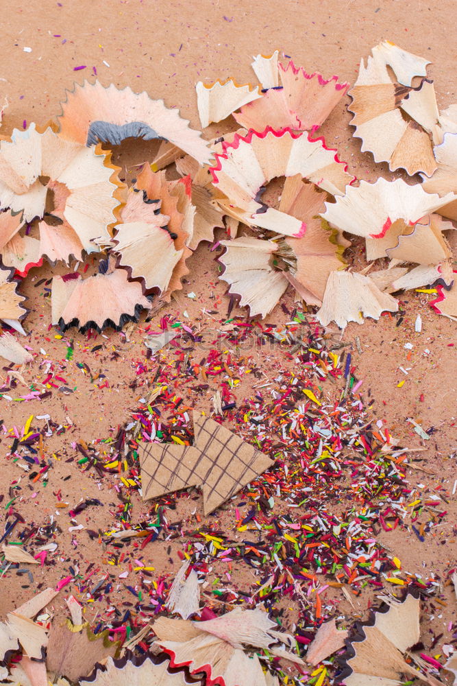 Colorful wooden pencils. Different than other.