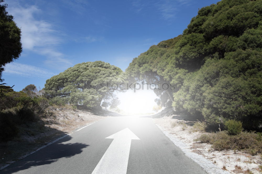 Similar – cloud trail Clouds Tree