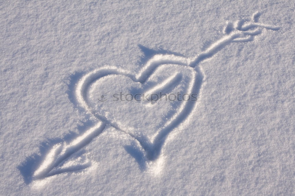 Similar – snow heart Flake Cold