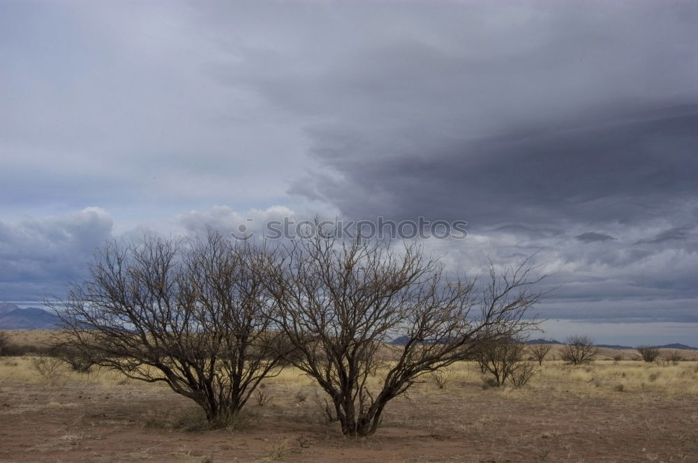 ghost town Storm clouds