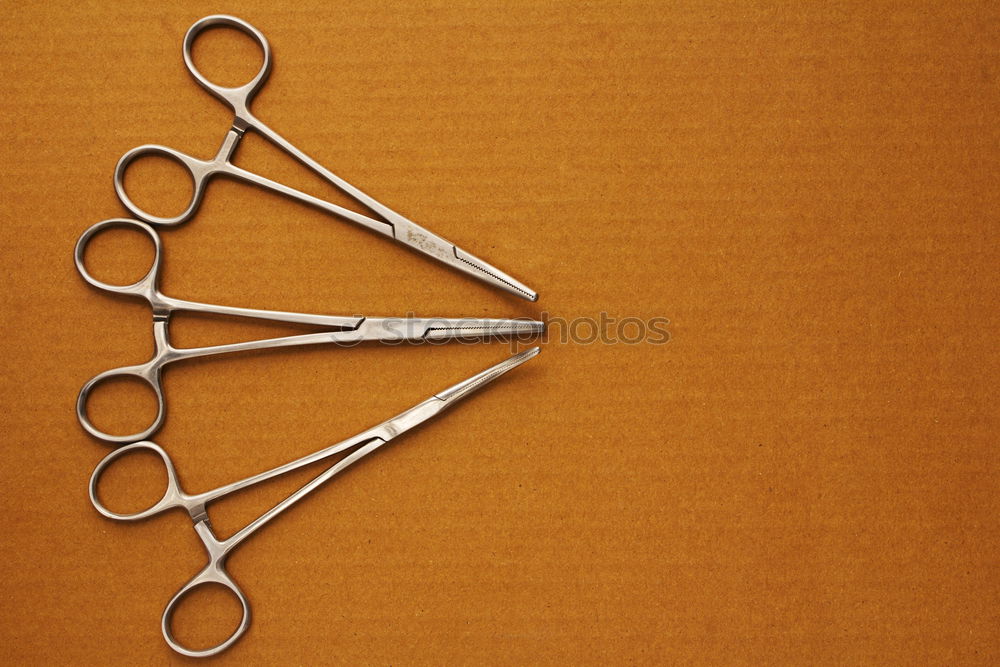 Image, Stock Photo #S# What a pair of scissors