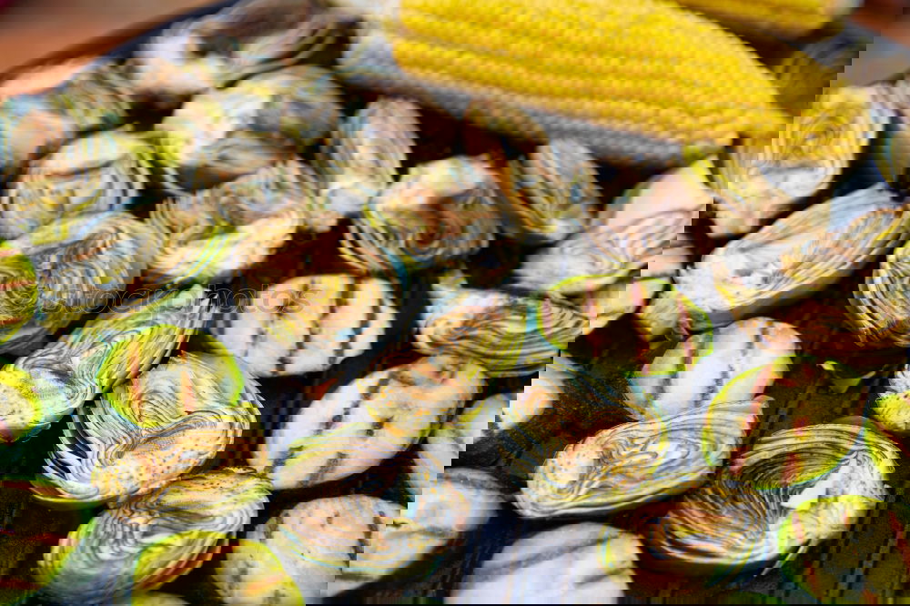 Similar – Foto Bild hmm …Artischocken und Dicke Bohnen