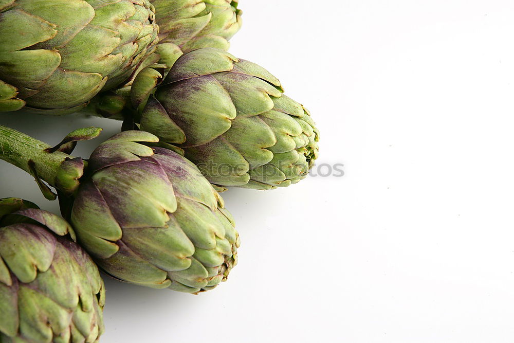 Similar – Arti the shock. Artichoke