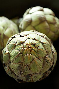 Similar – Arti the shock. Artichoke