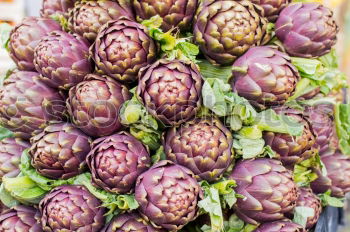 Arti the shock. Artichoke