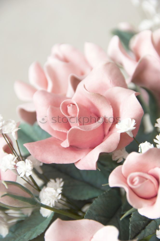 Similar – Image, Stock Photo Flowers for you!