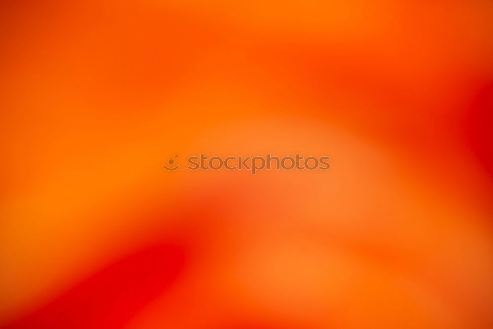 Similar – Foto Bild realchefcommander02