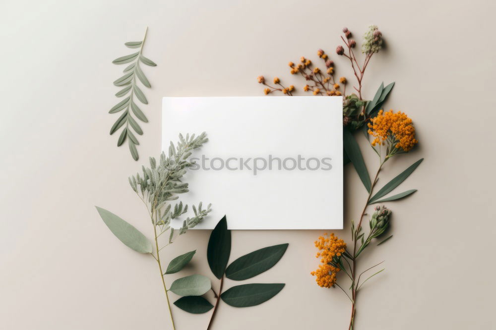 Similar – Image, Stock Photo Hands make bunch of flowers