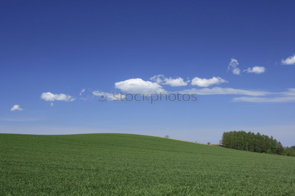 Similar – Image, Stock Photo green blue white and schaaf