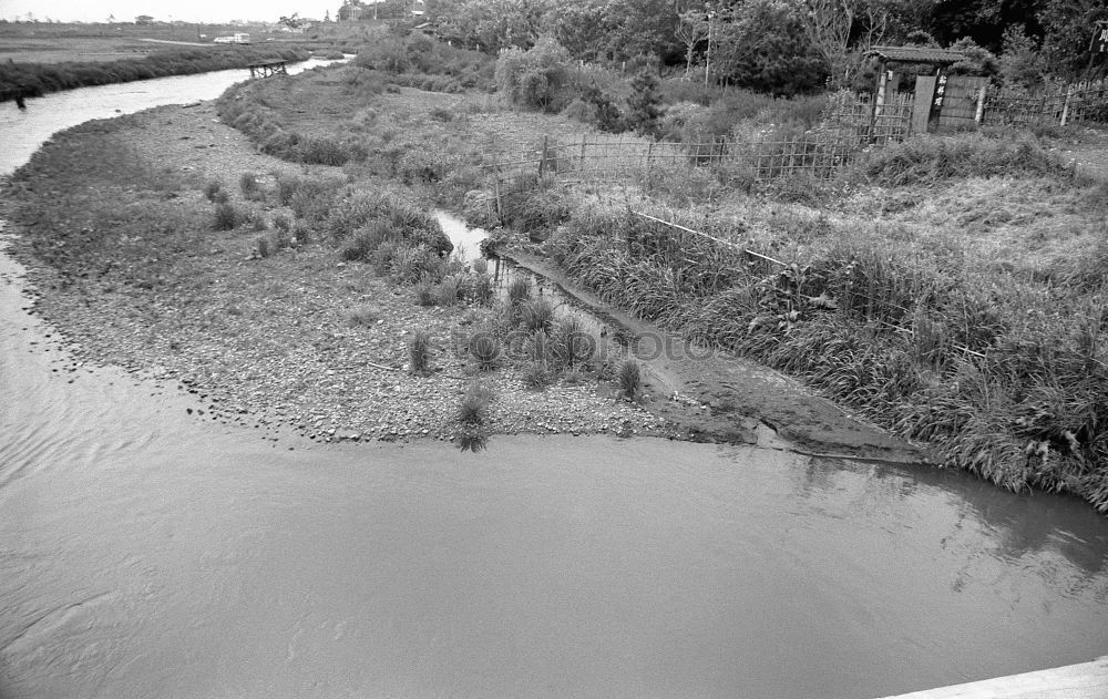 Similar – Image, Stock Photo canal Environment Nature