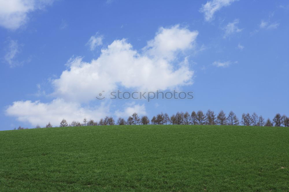 Similar – Image, Stock Photo The mountain with the roof