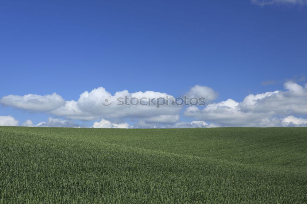 Similar – One shed 2 Barn Field