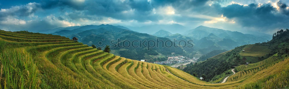 Similar – Image, Stock Photo Inca shrine gardens