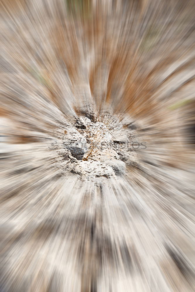 Image, Stock Photo abstract dandelion flower plant