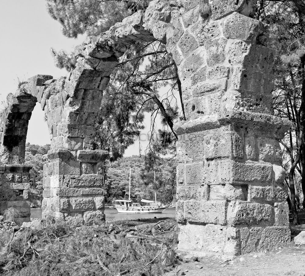 Image, Stock Photo Monks in front of Stupa