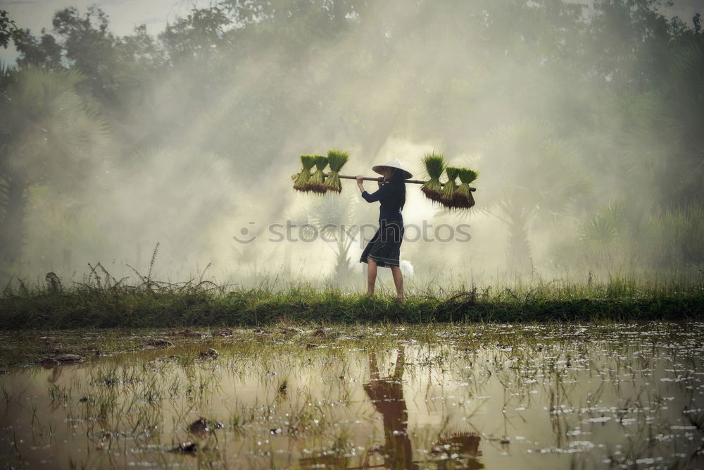 Similar – Image, Stock Photo high water Adventure