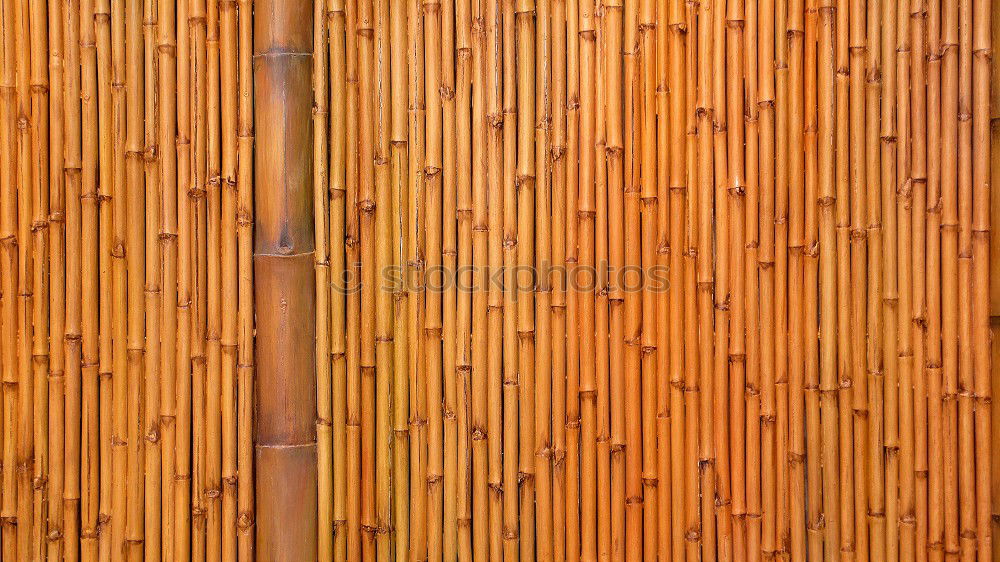 Similar – Image, Stock Photo Red House Wood