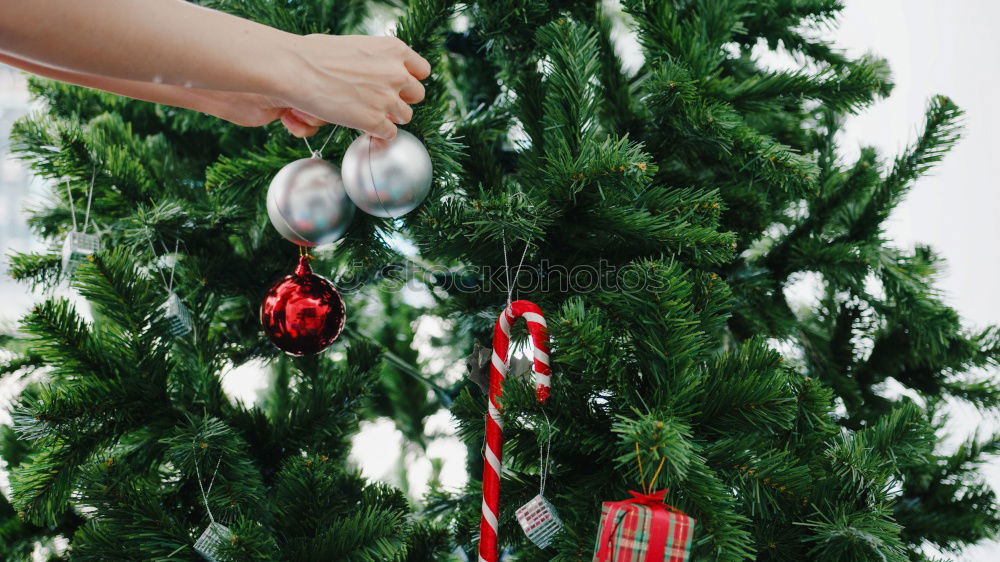 Similar – Image, Stock Photo Railings are embellished and wrapped with fir branches.festivities in Creußen